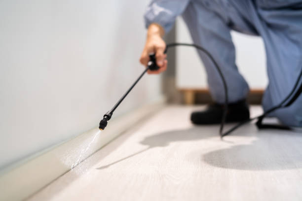 Licensed Fumigation Services service in Lewis County County, KY - Nex Pest Control